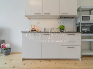 Pronájem bytu 1+kk, Praha - Holešovice, Jankovcova, 27 m2