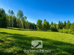 Prodej louky, Josefův Důl, 6990 m2