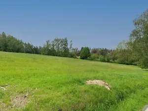 Prodej pozemku pro bydlení, Rušinov, 3343 m2