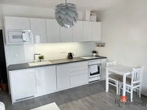 Pronájem bytu 2+kk, Plzeň - Jižní Předměstí, Poděbradova, 49 m2