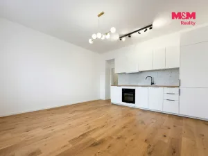 Pronájem bytu 1+kk, Praha - Vršovice, Petrohradská, 30 m2
