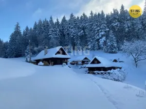 Prodej historického objektu, Hutisko-Solanec - Solanec pod Soláněm, 2989 m2