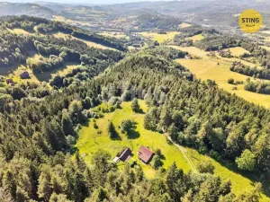 Prodej historického objektu, Hutisko-Solanec - Solanec pod Soláněm, 2989 m2