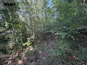 Prodej pozemku pro bydlení, Klopina, 439 m2