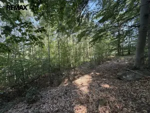 Prodej pozemku pro bydlení, Klopina, 439 m2