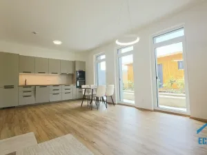 Pronájem bytu 2+kk, Herink, U Kovárny, 55 m2