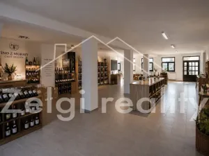 Pronájem obchodního prostoru, Rakvice, Horní, 160 m2