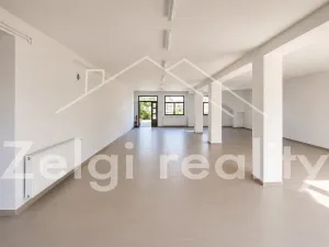 Pronájem obchodního prostoru, Rakvice, Horní, 160 m2