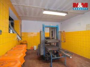 Prodej výrobních prostor, Žlutice, 320 m2