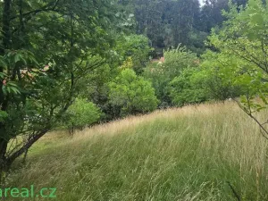 Prodej rodinného domu, Šošůvka, 130 m2