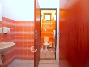 Prodej rodinného domu, Čelákovice, Masarykova, 450 m2
