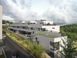 Prodej bytu 3+kk, Brno, Rybnická, 80 m2