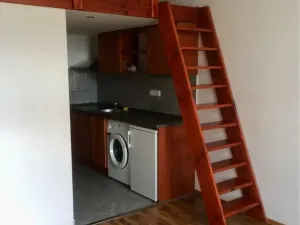 Pronájem bytu 1+kk, Praha - Vysočany, Freyova, 19 m2