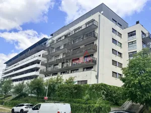 Prodej bytu 2+kk, Praha - Vokovice, Irská, 63 m2