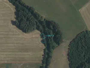 Dražba louky, Lužnice, 552 m2