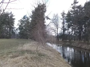 Dražba louky, Lužnice, 552 m2