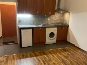 Pronájem bytu 1+1, Praha - Vysočany, Freyova, 24 m2