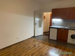 Pronájem bytu 1+1, Praha - Vysočany, Freyova, 24 m2
