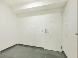 Prodej bytu 3+kk, Praha - Žižkov, Budovcova, 96 m2