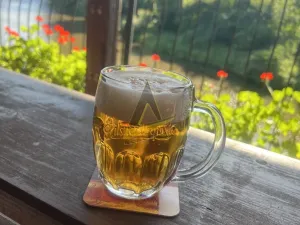 Prodej restaurace, České Budějovice - České Budějovice 7, Lidická tř., 265 m2