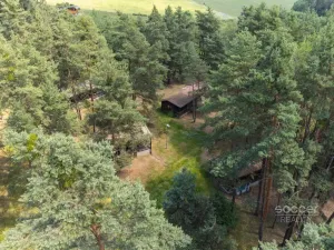 Prodej lesa, Slabčice, 6225 m2