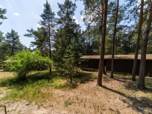 Prodej lesa, Slabčice, 6225 m2