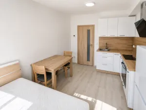 Pronájem bytu 1+kk, Olomouc, Edmunda Husserla, 29 m2