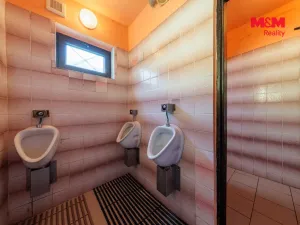 Prodej restaurace, Horní Slavkov, 83 m2