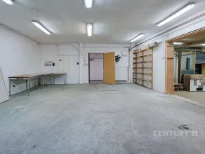Prodej komerční nemovitosti, Horní Cerekev, 460 m2