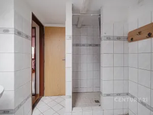 Prodej komerční nemovitosti, Horní Cerekev, 460 m2