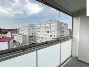 Prodej bytu 2+1, Chomutov, Palackého, 65 m2