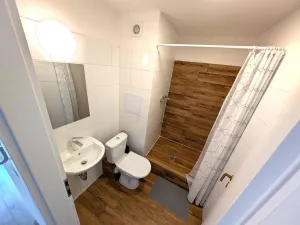 Pronájem bytu 1+kk, Sokolov, Mánesova, 19 m2