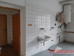 Pronájem komerční nemovitosti, Lužany, 64 m2