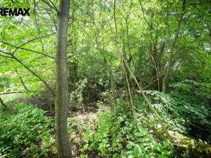 Prodej pozemku pro bydlení, Rožmitál pod Třemšínem, 876 m2