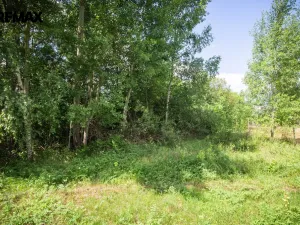 Prodej pozemku pro bydlení, Rožmitál pod Třemšínem, 876 m2