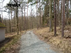 Prodej chaty, Plasy, 50 m2