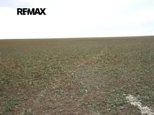Prodej pozemku pro bydlení, Pavlíkov, 895 m2