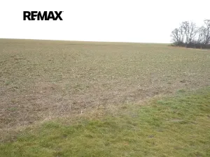 Prodej pozemku pro bydlení, Pavlíkov, 1187 m2