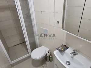 Pronájem bytu 1+kk, Plzeň - Jižní Předměstí, U Borského parku, 20 m2