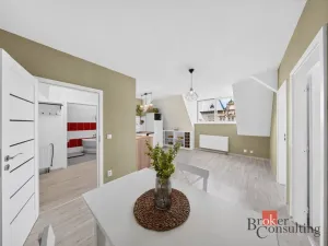 Prodej bytu 3+kk, Opava - Předměstí, Olomoucká, 55 m2