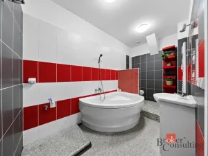 Prodej bytu 3+kk, Opava - Předměstí, Olomoucká, 55 m2