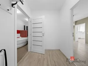 Prodej bytu 3+kk, Opava - Předměstí, Olomoucká, 55 m2