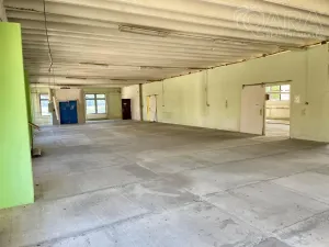 Pronájem výrobních prostor, Račice-Pístovice - Račice, 1622 m2