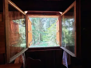 Prodej chaty, Borová, 53 m2