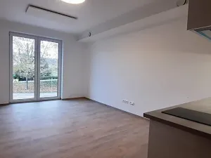 Pronájem bytu 1+kk, Brno, Kytnerova, 29 m2