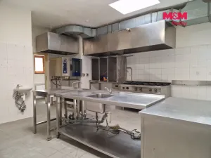 Pronájem restaurace, Kolín - Kolín I, Kutnohorská, 132 m2