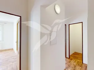 Pronájem bytu 1+1, Horní Bříza, Na Kaolince, 38 m2