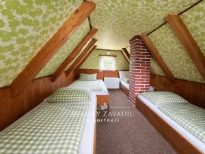Prodej chaty, Lukavice - Lukavička, 60 m2