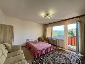 Prodej bytu 3+1, Ústí nad Labem - Krásné Březno, Anežky České, 73 m2