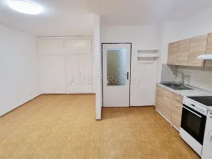 Pronájem bytu 1+kk, Praha - Hloubětín, Šestajovická, 30 m2